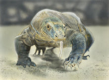 Load image into Gallery viewer, Learn How to Airbrush Reptiles and Amphibians For the Beginners