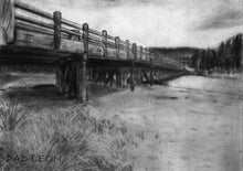 Load image into Gallery viewer, Drawing - Drawing with Charcoal For Beginners - Step By Step Guide to Drawing Landscapes – Portraits – Animals