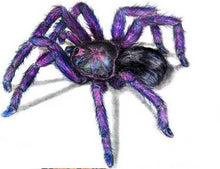 Load image into Gallery viewer, Drawing Spiders Volume 1 - How to Draw Spiders For the Beginner