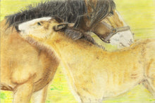 Load image into Gallery viewer, Learn How to Draw and Paint Horses for Beginners