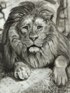 Learn How to Draw Portraits of African Animals in Charcoal For the Beginner