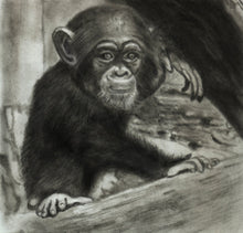 Load image into Gallery viewer, Learn How to Draw Portraits of African Animals in Charcoal For the Beginner
