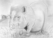 Load image into Gallery viewer, Learn How to Draw Portraits of Domestic Animals in Pencil For the Absolute Beginner