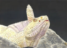 Load image into Gallery viewer, Learn How to Airbrush Reptiles and Amphibians For the Beginners