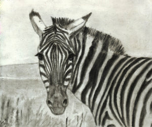 Learn How to Draw Portraits of African Animals in Charcoal For the Beginner